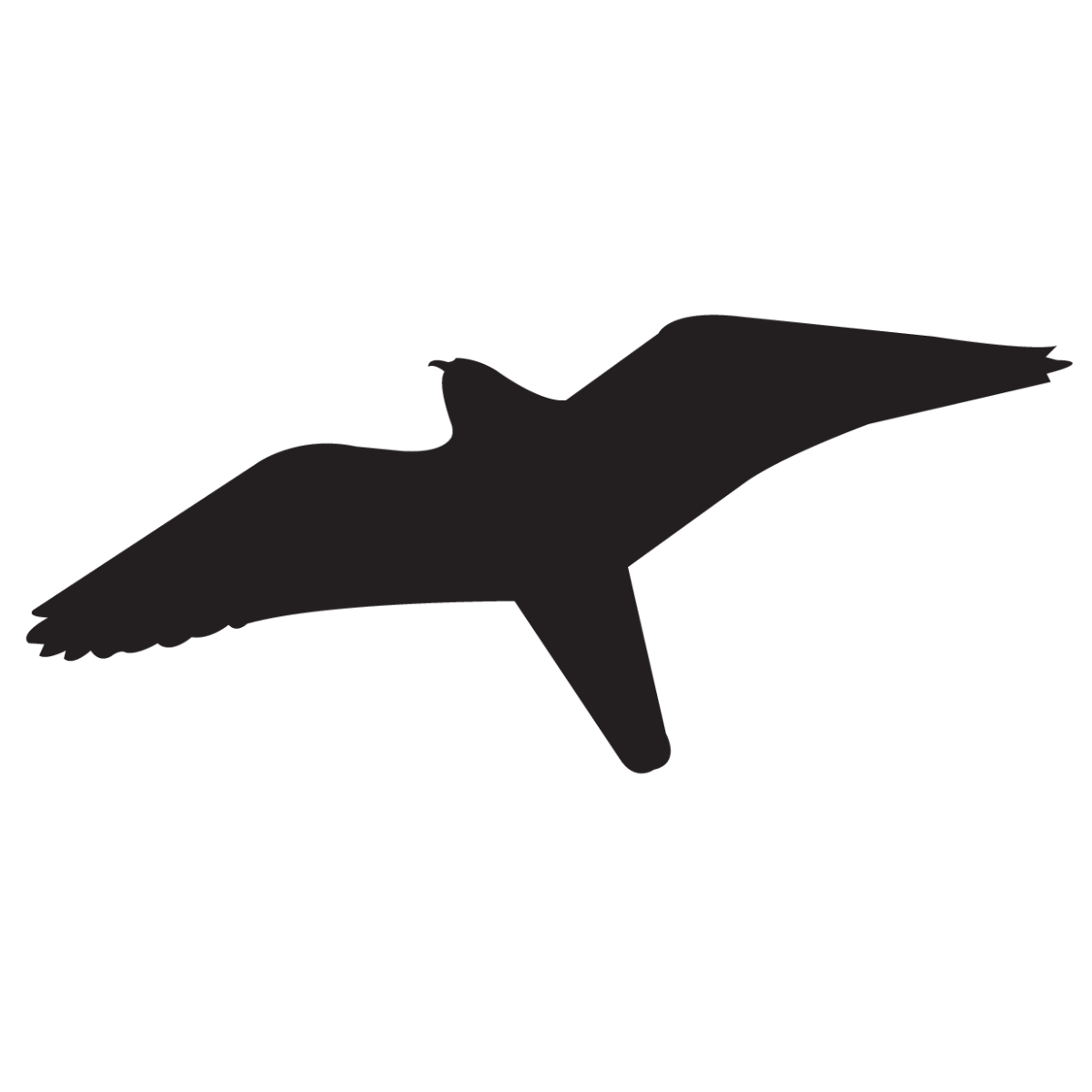 Bild der Kategorie Vogelstickers