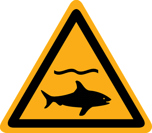 Bild der Kategorie Haaien