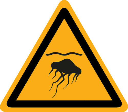 Bild der Kategorie Kwallen