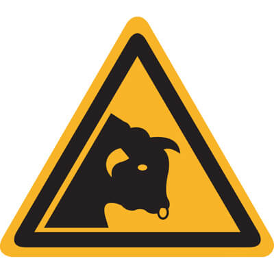 Bild der Kategorie Gevaar stier