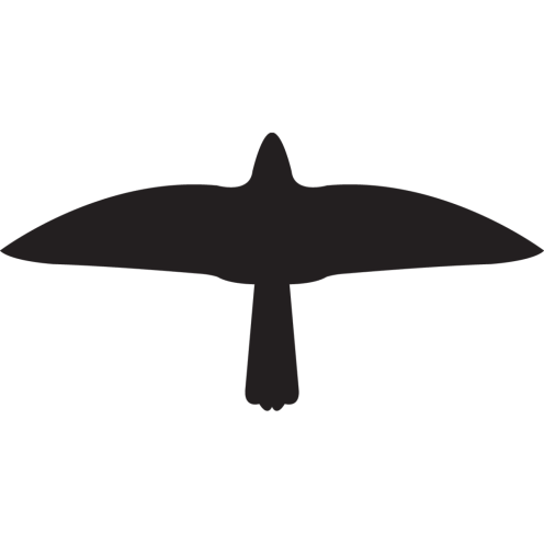 Sticker Vogel model 1